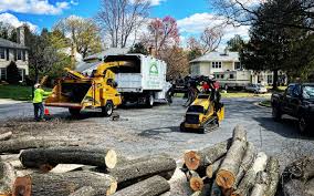 Lawn Watering Services in Staples, MN